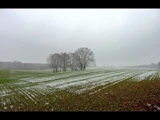 landst ck from mecklenburg-vorpommern (volker koepp, 2016)