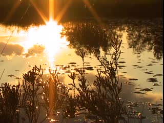 secret germany - a journey to the spirituality of early romanticism (r diger s nner, 2006)