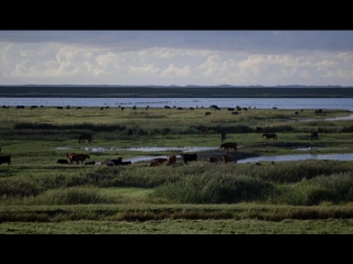 of girls and horses (2014) monika treut