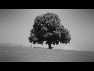 robert walser stories (2006) walter (walo) deuber / he, the hat, sits on him, the head