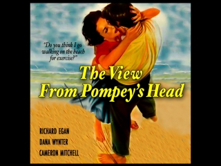 the view from pompey s head (1955) richard egan, dana wynter